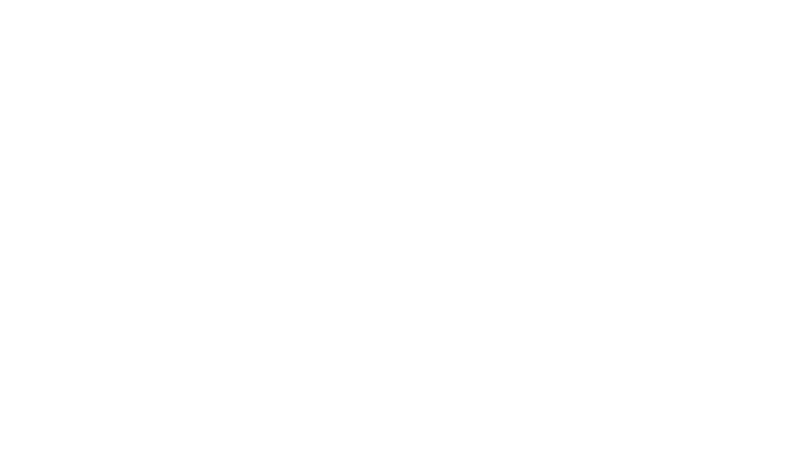 Arquitetura Japi